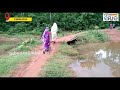 kids inagurates village road in a unique way in odisha s dhenkanal odisha sambad news