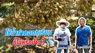 ทำดอกทุเรียน ใช้น้ำทำดอก ทำได้หรอ! ขี้โม้หรือป่าว? | เกษตรขั้นเทพ #สวนทุเรียน