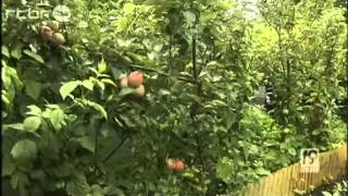 Jardin des Fraternités Ouvrières. Visite de la RTBF