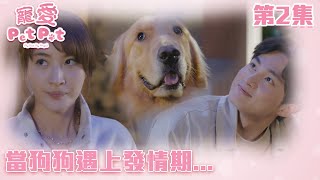 寵愛Pet Pet｜當狗狗遇上發情期...｜周嘉洛｜林夏薇｜甜寵｜喜劇｜TVB港劇精華