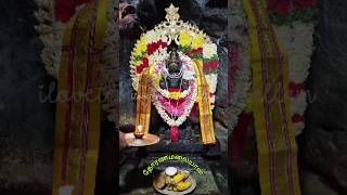 தோரண மலை எம்பெருமான் முருகப் பெருமான் ❤️😍❤️#ilovetenkasicourtallam #lordmurugan #thoranamalai