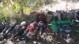 Terrorist BurmeseTatmadaw Army soldiers expel view