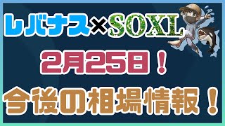 2月25日！市場が開く前のレバナス・SOXL分析！大暴落？爆上げ？今後はどうなる？