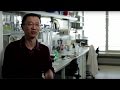 Jijie Chai - Alexander von Humboldt Professorship 2017 (EN)