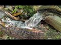 wanderung durch das val verzasca von sonogno nach lavertezzo u0026 locarno