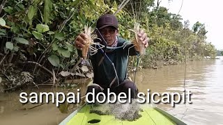 disaat jala bergetar kuat.disitu ada sicapit biru.(menjala udang)