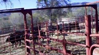 www.gcranch.com  CORRAL AND GATES