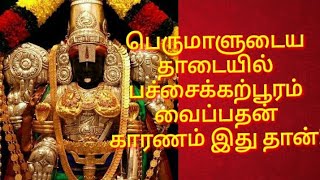 Sri Ramanujar | பெருமாளின் தாடையில் பச்சைக் கற்பூரம் வைப்பதன் காரணம் இது தான்!