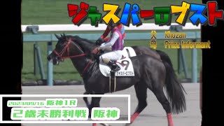 2023/09/16【パドック返し馬つき】阪神1R　２歳未勝利戦　☆ジャスパーロブスト　Khozan　＃レースは8分ころから