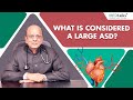 Dr K K Aggarwal - What is considered a large ASD?