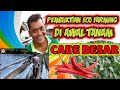 PRAKTEK ECO FARMING DARI AWAL DI KEBUN CABE BESAR