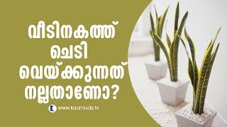 Is it good to grow plants inside house? | Feng Shui | Ladies Hour