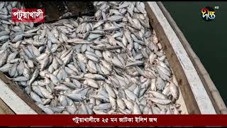 পটুয়াখালীতে ২৫ মন জাটকা ইলিশ জব্দ | Patuakhali | Deepto News