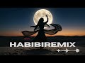 Habibi Moonlight Remix 🌙 Arabic Deep House Mix for Lonely Nights