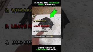 Ranking The Funniest Frog Screams 🤣