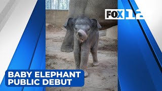 Oregon Zoo baby elephant soon to make her public debut