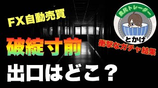 【FX】破綻寸前から4日後の結果がコチラ