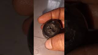 matsya shaligram