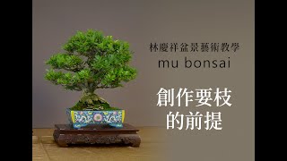 概念篇∣創作選枝的前提∣請點選字幕 ◤林慶祥盆景藝術教學◢ Bonsai in Taiwan