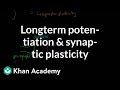 Long term potentiation and synaptic plasticity | Processing the Environment | MCAT | Khan Academy