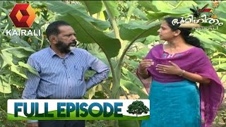 Bhoomigeetham ഭൂമിഗീതം | 25th February 2017 | Full Episode