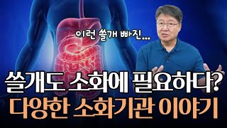 쓸개도 소화에 필요하다? 위장, 간부터 대장까지, 다양한 소화 기관 이야기