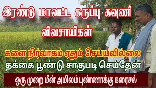 ஒரு முறை மட்டுமே மீன் அமிலம் புண்ணாக்கு கரைசல்