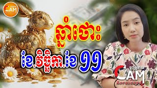 រាសីអ្នកឆ្នាំថោះ ប្រចាំខែ11 (ខែវិច្ឆិកា) មានលាភធំអ្វីខ្លះ | Khmer Daily Horoscope