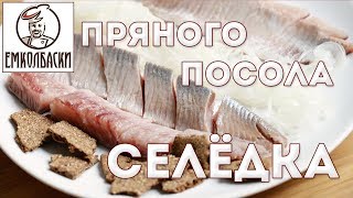 Как правильно сделать РАССОЛ ДЛЯ СЕЛЕДКИ. Сельдь и килька пряного посола своими руками.