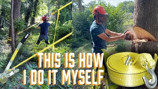 DIY Homeowner Tree Cutting