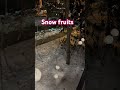 snow fruit tree in halifax halifax canada fyp 2025 shorts