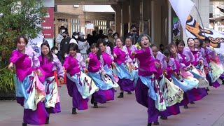 「空～Qou～」四日市よさこい やったろ舞2022【ふれあいモール】