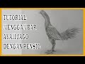 Menggambar Ayam Jago Aduan | HOW TO DRAW A ROOSTER