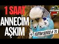 Konuşan Muhabbet Kuşu | Annecim Aşkım | 1 Saat Muhabbet Kuşu Konuşturma Eğitimi !