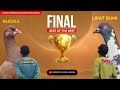 FINAL MERPATI KENCANG ‼️ LIPAT BUMI vs RUCIKA BOB LAPAK GONDOSARI SILIREJO PEKALONGAN 11 okt 2024