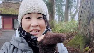 戸隠神社・奥社に行ってきました。人全然いなかったから帰りは一人でずっと喋ってます。～2013FISグラススキー世界選手権で金メダルを取った時の取り組みの話～