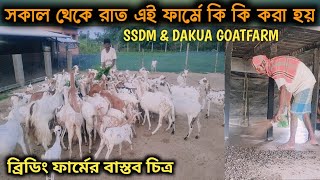 সঠিক পদ্ধতিতে ফার্ম পরিচালনা || Trusted Well Established Goat Farm in West Bengal