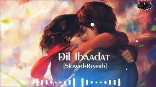 Dil Ibaadat [Slowed + Reverb] - KK | Slowed & Reverb | Music Lovers