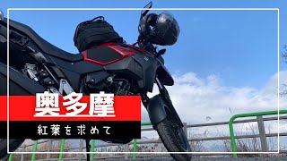 【バイク走行-Vストローム250-】 #2.あっぱれ紅葉！奥多摩周遊道路を突っ走れ！