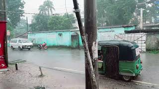 ব্যস্ত নগরীতে বৃষ্টি ভেজা বিকেল🥰Moulvibazar, sylhet