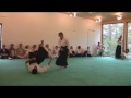 evolutionary aikido aikido montreux embodiment of principles and perspectives