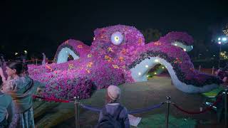 Israel. 4k video. Festival of Lights and Flowers in Ramat Gan Park