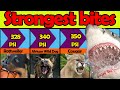 👉👀Comparison: Animal with Strongest Bite Force | Most Powerful Bites In Animal Kingdom