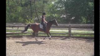 ♥Laura♥ Reiten