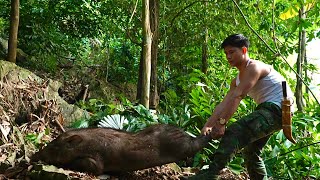 Surprise with an unlucky wild boar in the mountains and forests .