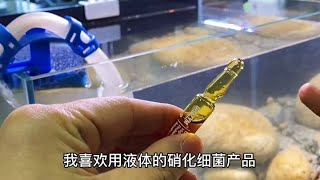 商品硝化細菌和野生硝化菌應該還是有區別的，定期添加一些肯定是有助於保持水體的健康#硝化細菌