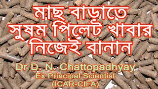 মাছ বাড়াতে সুষম পিলেট খাবার নিজেই বানান । মাছের খাবার, সুষম পিলেট খাবার, পিলেট খাদ্য তৈরীর পদ্ধতি,