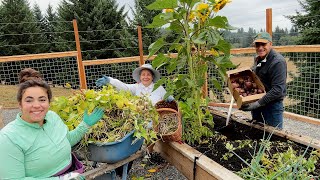 A Massive Harvest In the Rain!