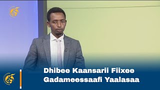 Dhibee Kaansarii Fiixee Gadameessaafi Yaalasaa