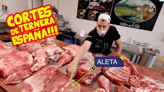 Los CORTES de la TERNERA en ESPAÑA 🐄 Pecho, Babilla, Aleta, Tapa, Contra...